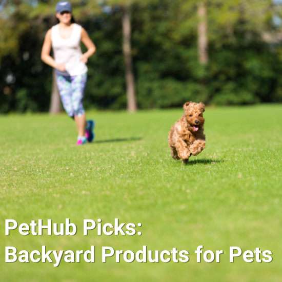 Staff Picks Backyard Product Roundup for Pets PetHub